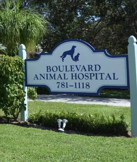 Contact Boulevard Animal Hospital Stuart Florida