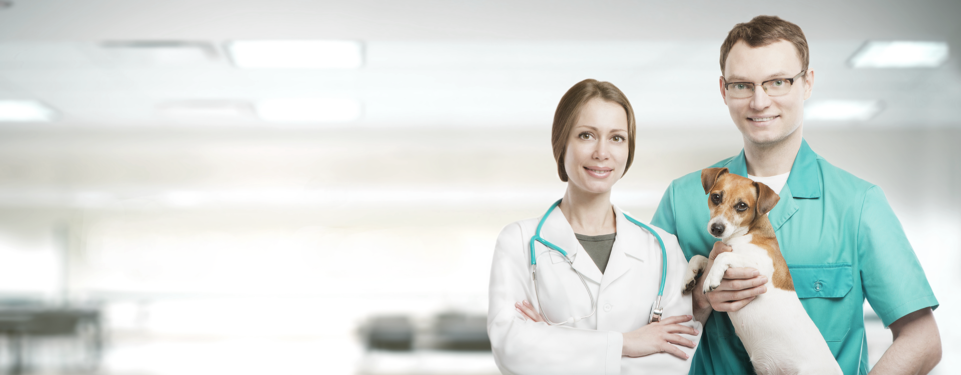 Boulevard Animal Hospital Stuart Florida Veterinarian Office