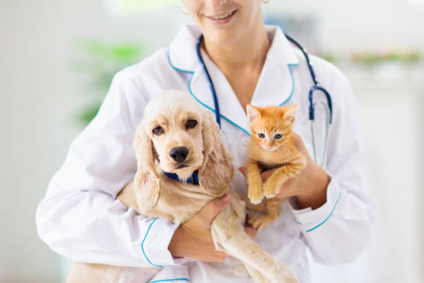 Pet Weight Management and Obesity Treatment for Dogs and Cats in Stuart, Florida