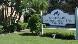 Boulevard Animal Hospital Stuart Florida