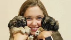 boulevard-animal-hospital-fl-2